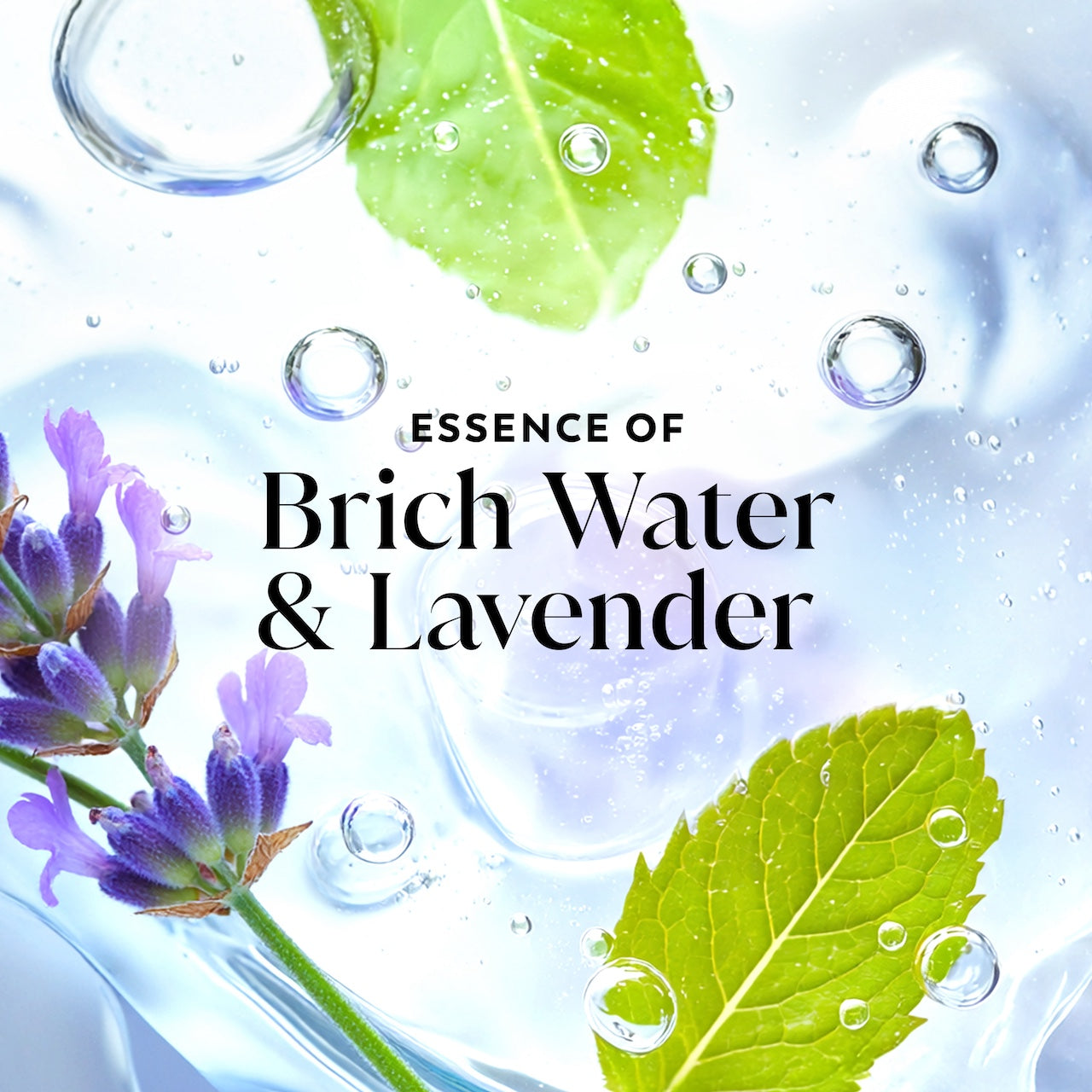 Olay Fresh Radiance Body Wash with Essence of Birch Water and Lavender, Vitamin B3 and Antioxidant Blend 35oz